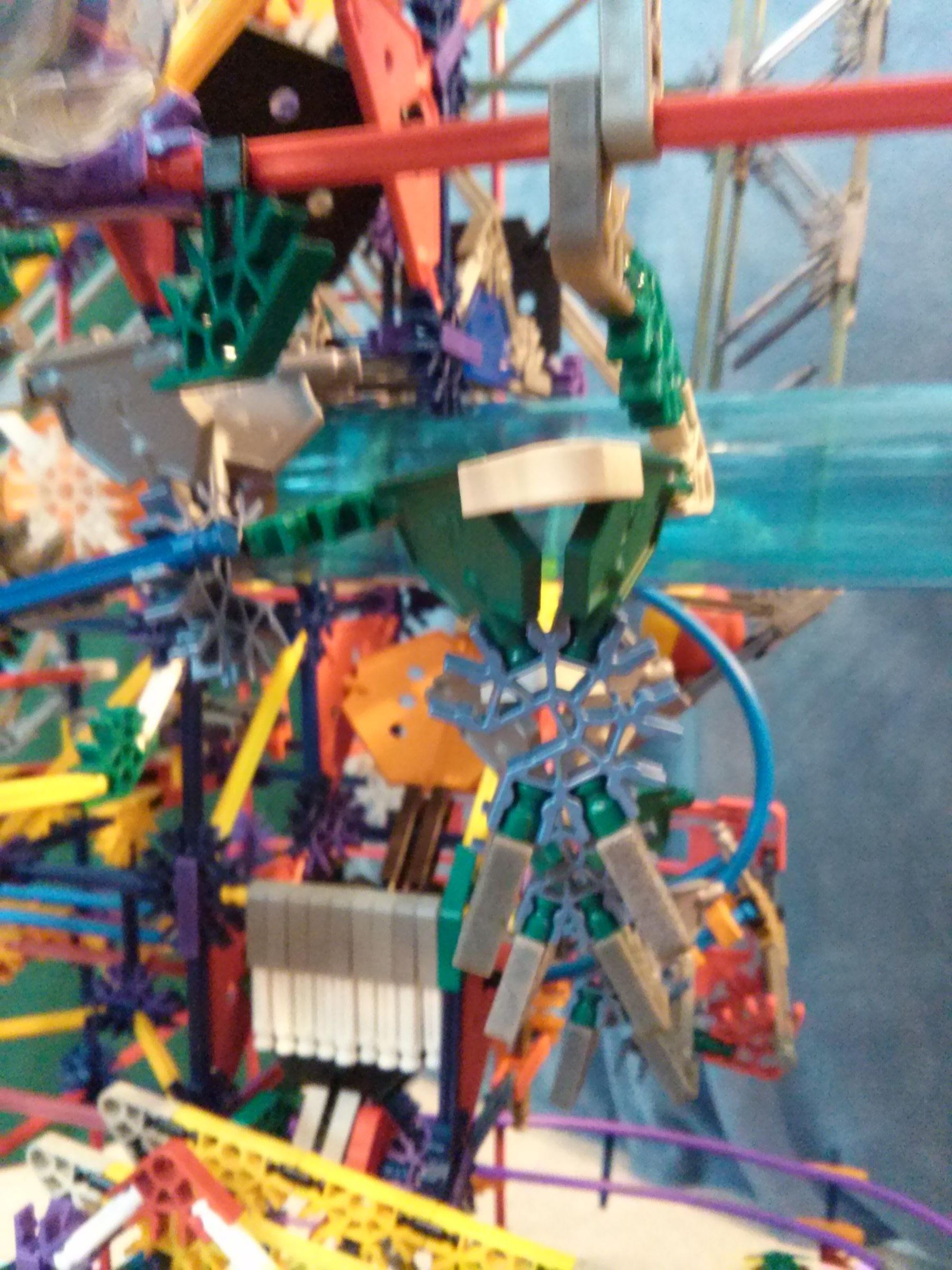 CAM02558.jpg