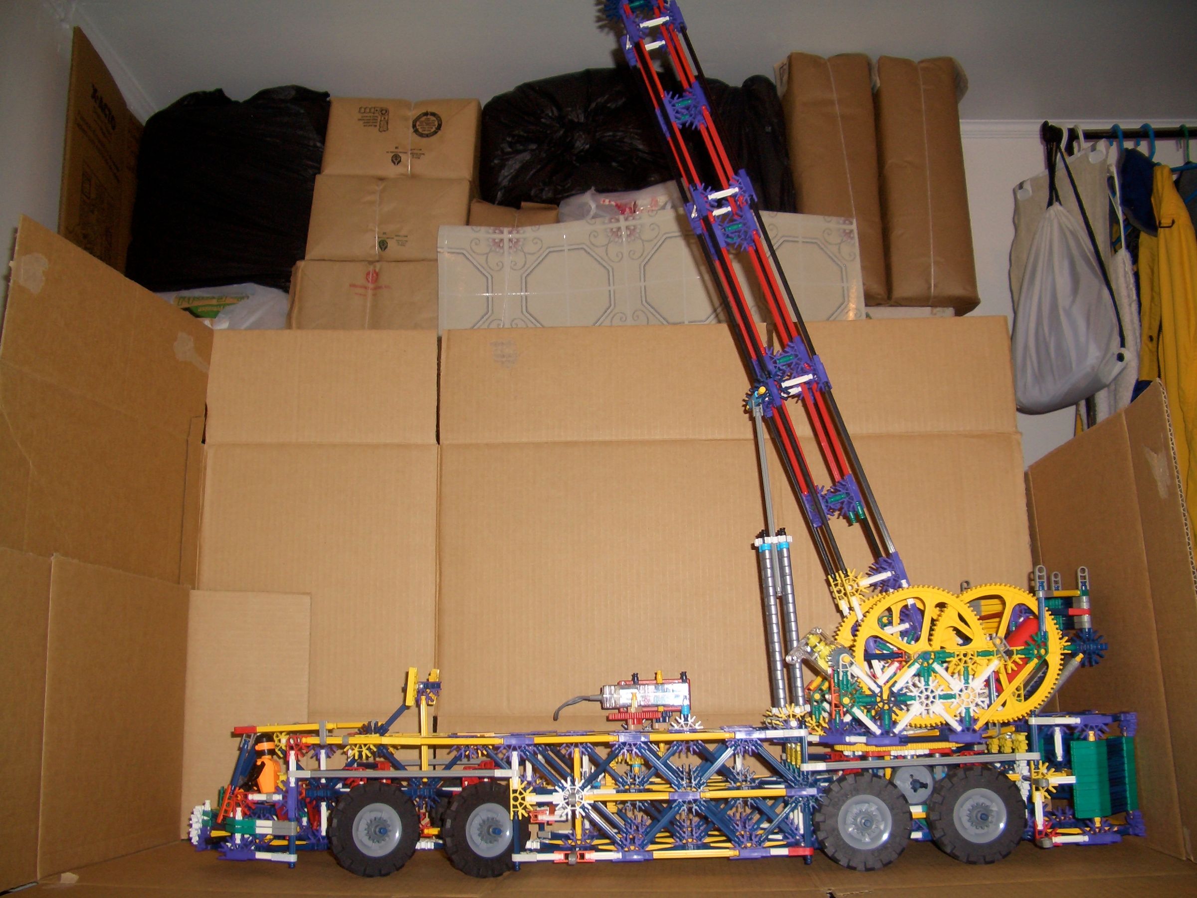 CIMG6083.JPG