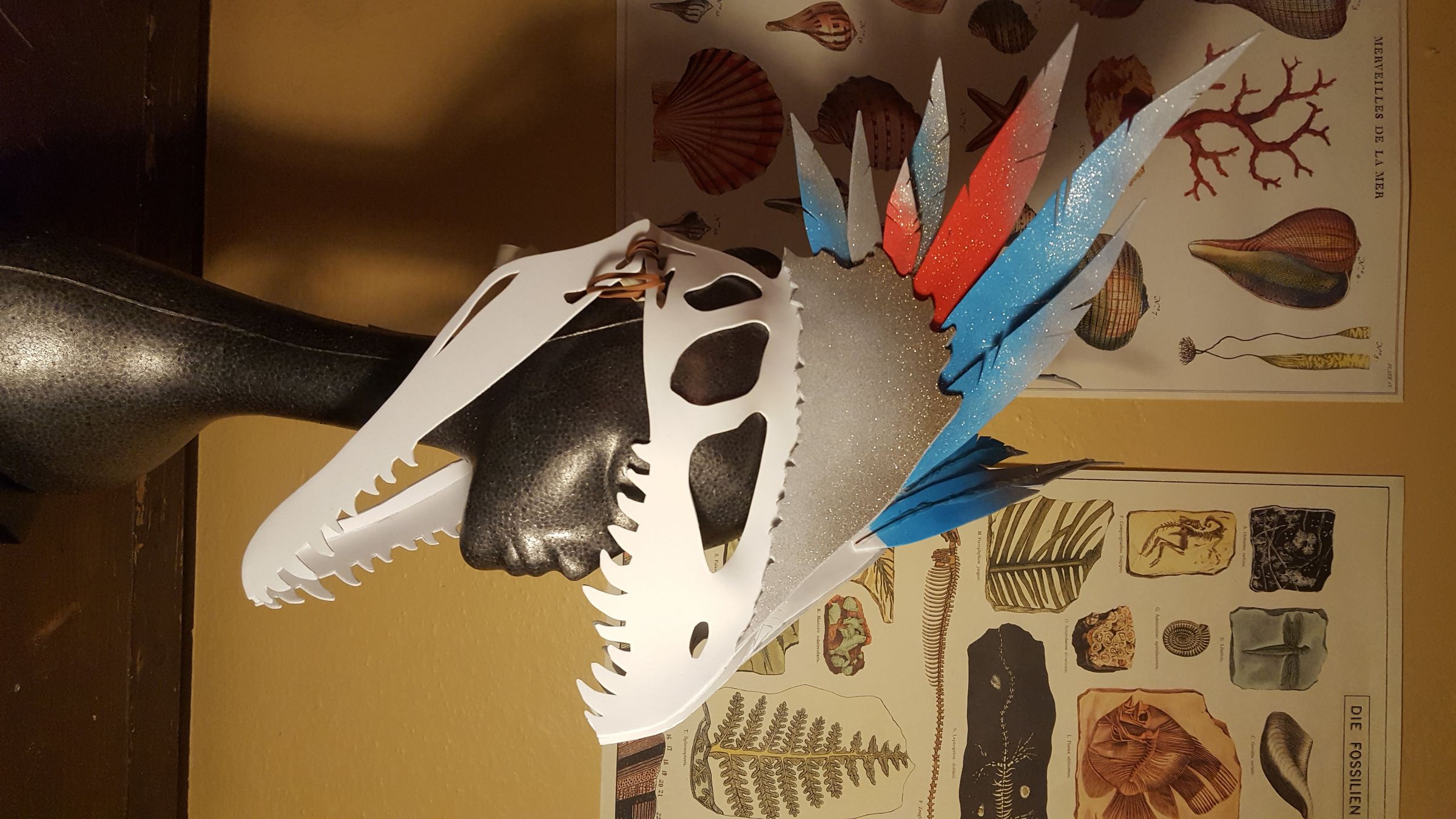 CMB Dilo skull.jpg