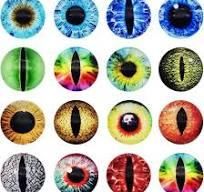 Cabochon Eyes 2.jpeg