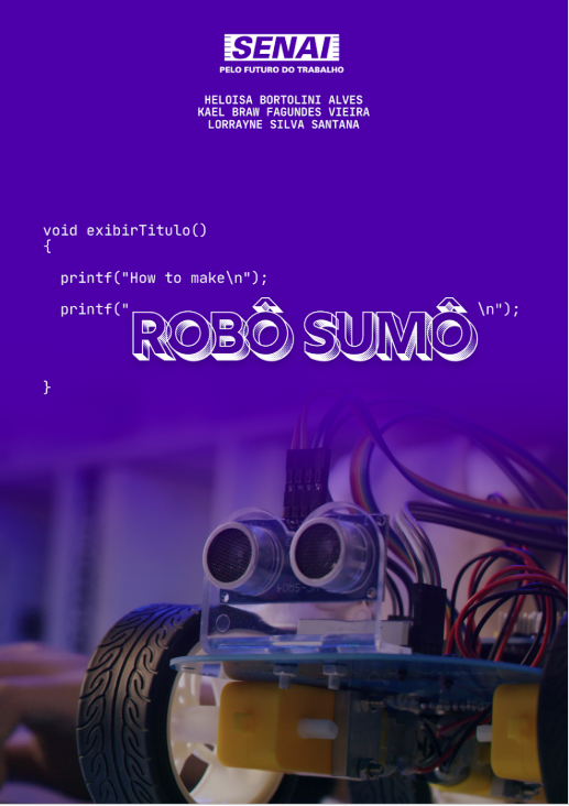 Capa Rob&ocirc;.PNG