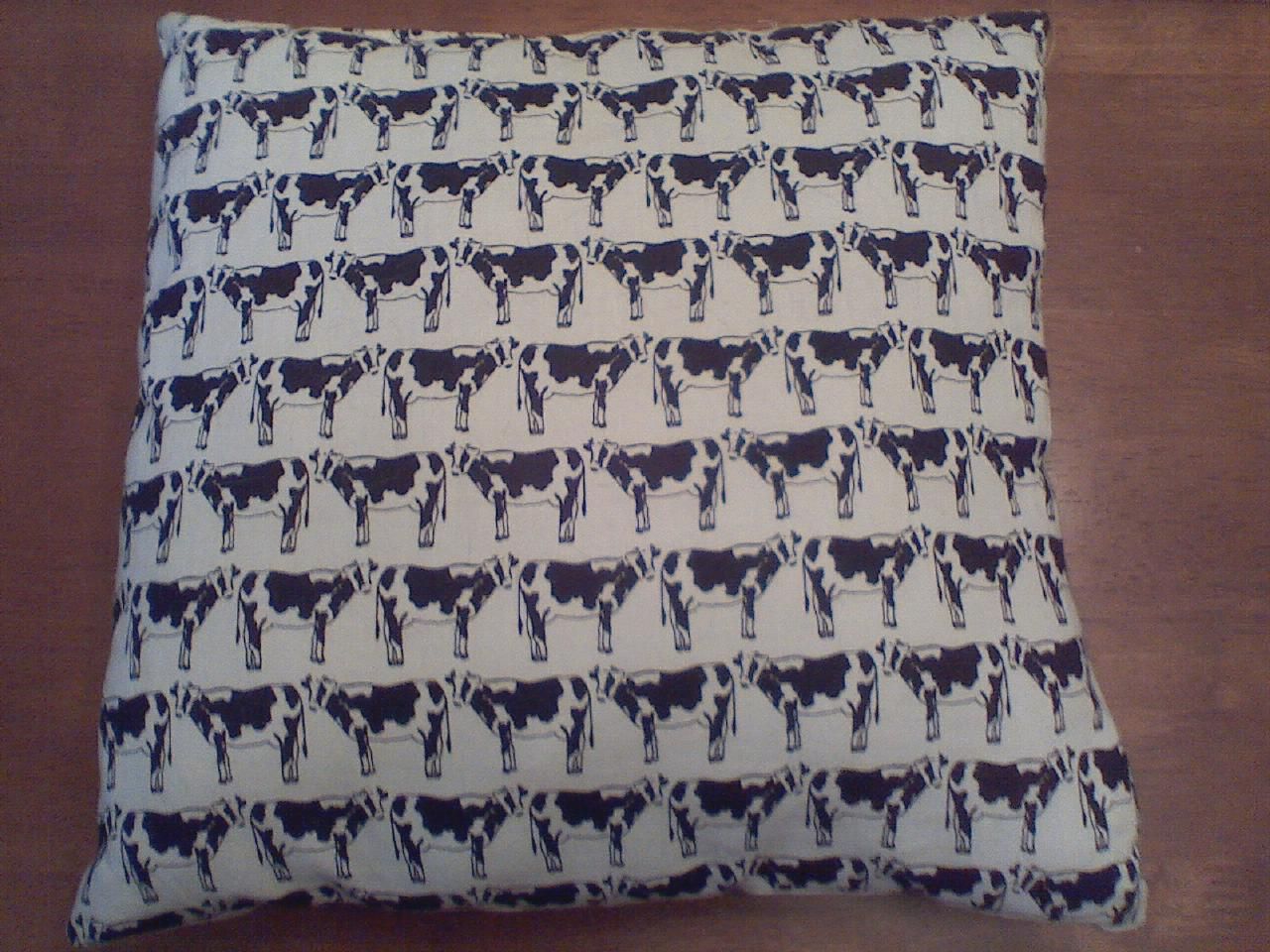 Carrot Pillow Backside.jpg