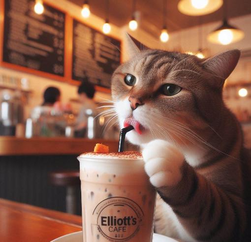 Cat at Elliott's cafe.PNG