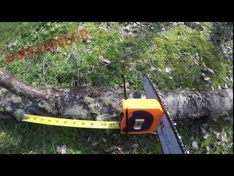 Chainsaw Tape In Use