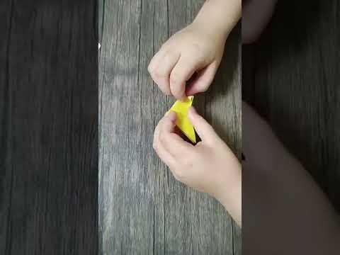 Creacion de mariposa