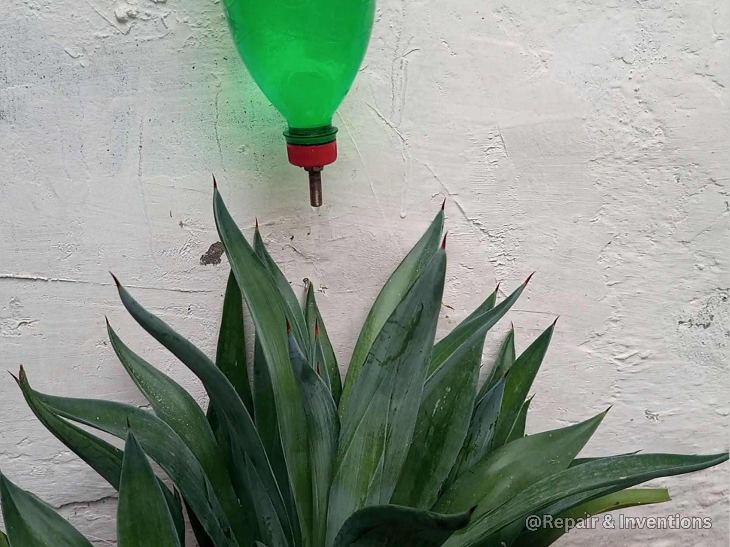 Create the Automatic Drip System.jpg