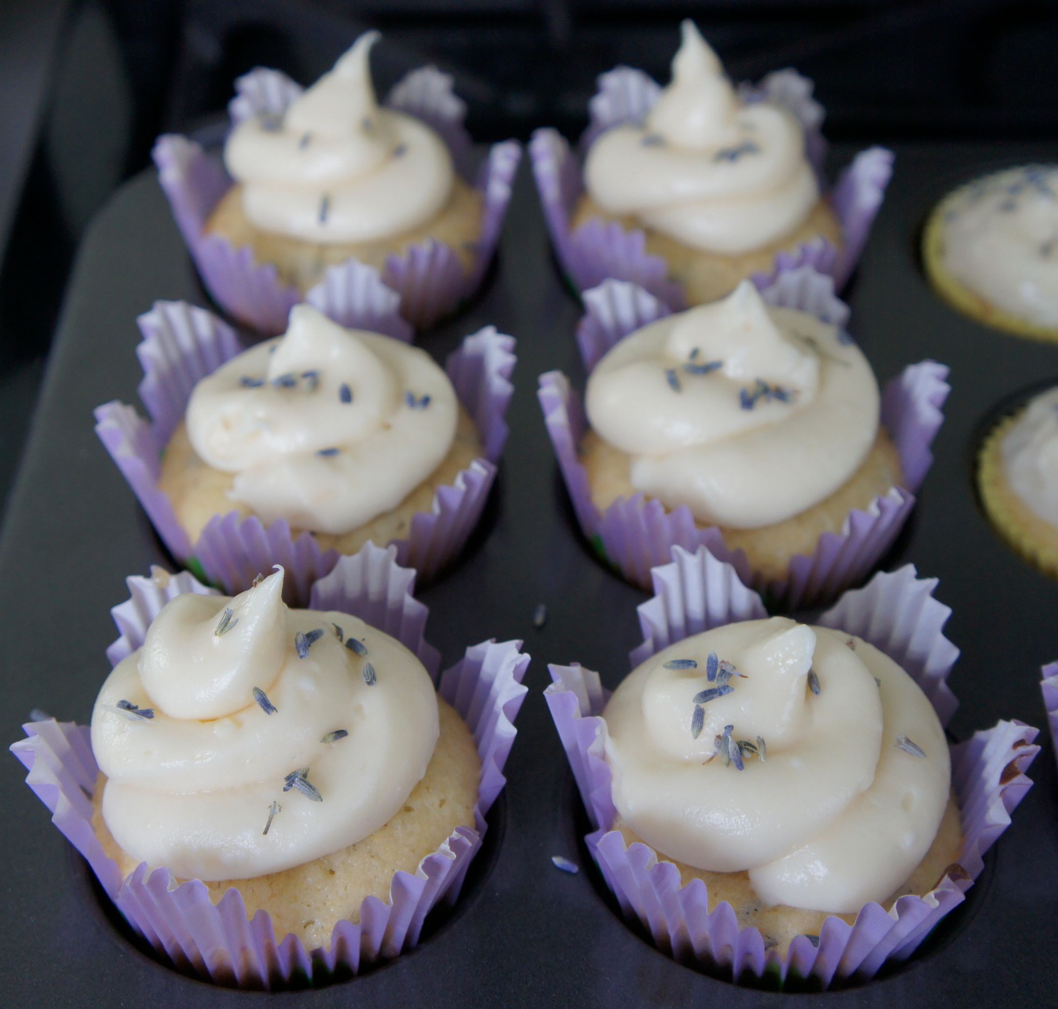 Cupcakes.jpg