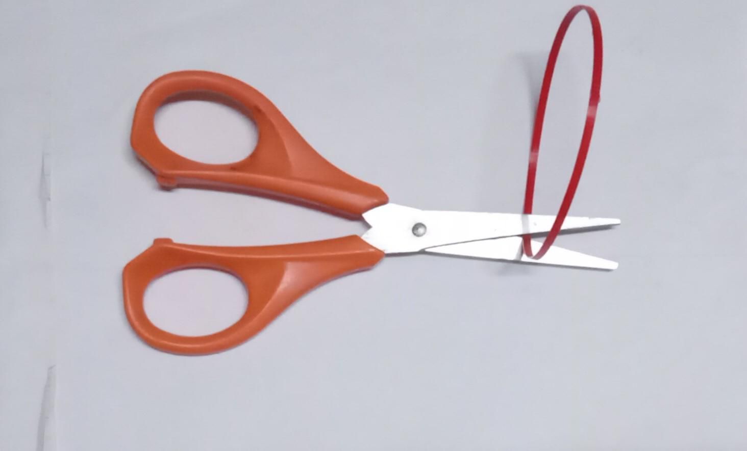 Cutting_Ring.jpg