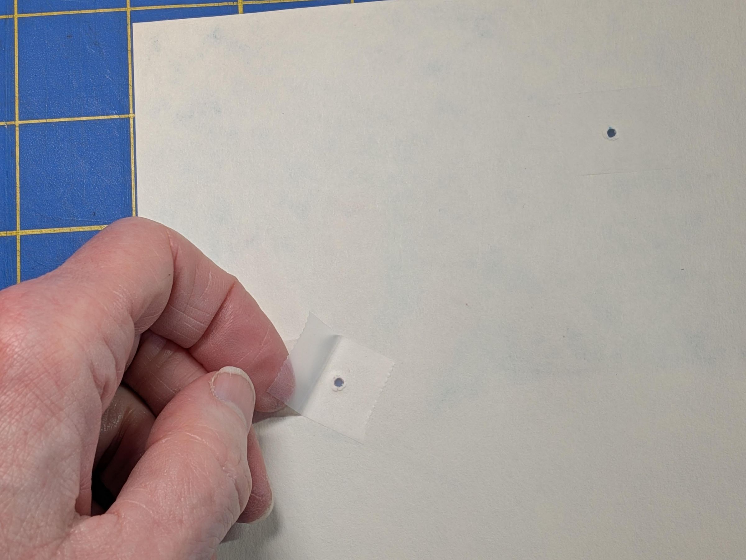 Cuttlefish tape over hole.jpg