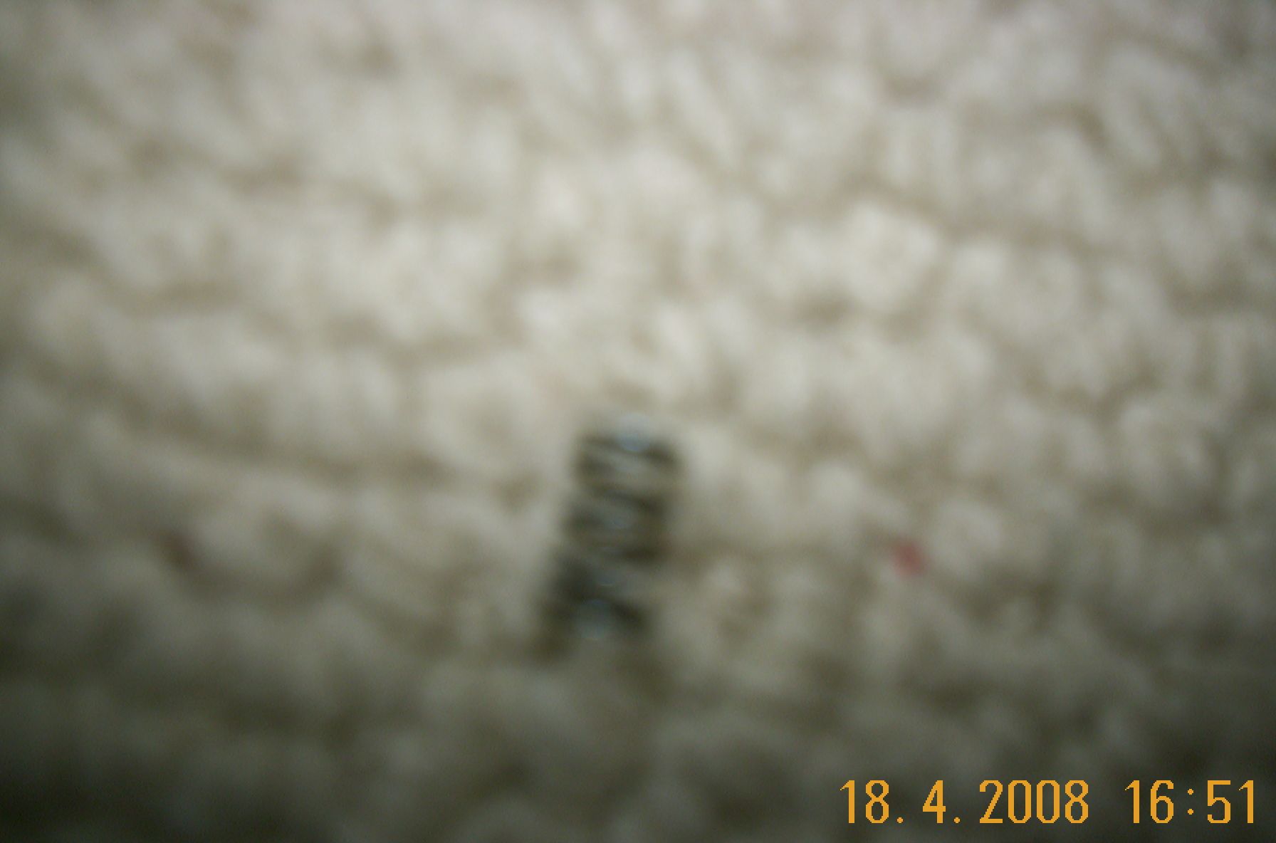 DCP_2466.JPG