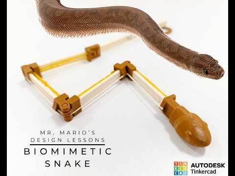 DIY Biomimetic Snake