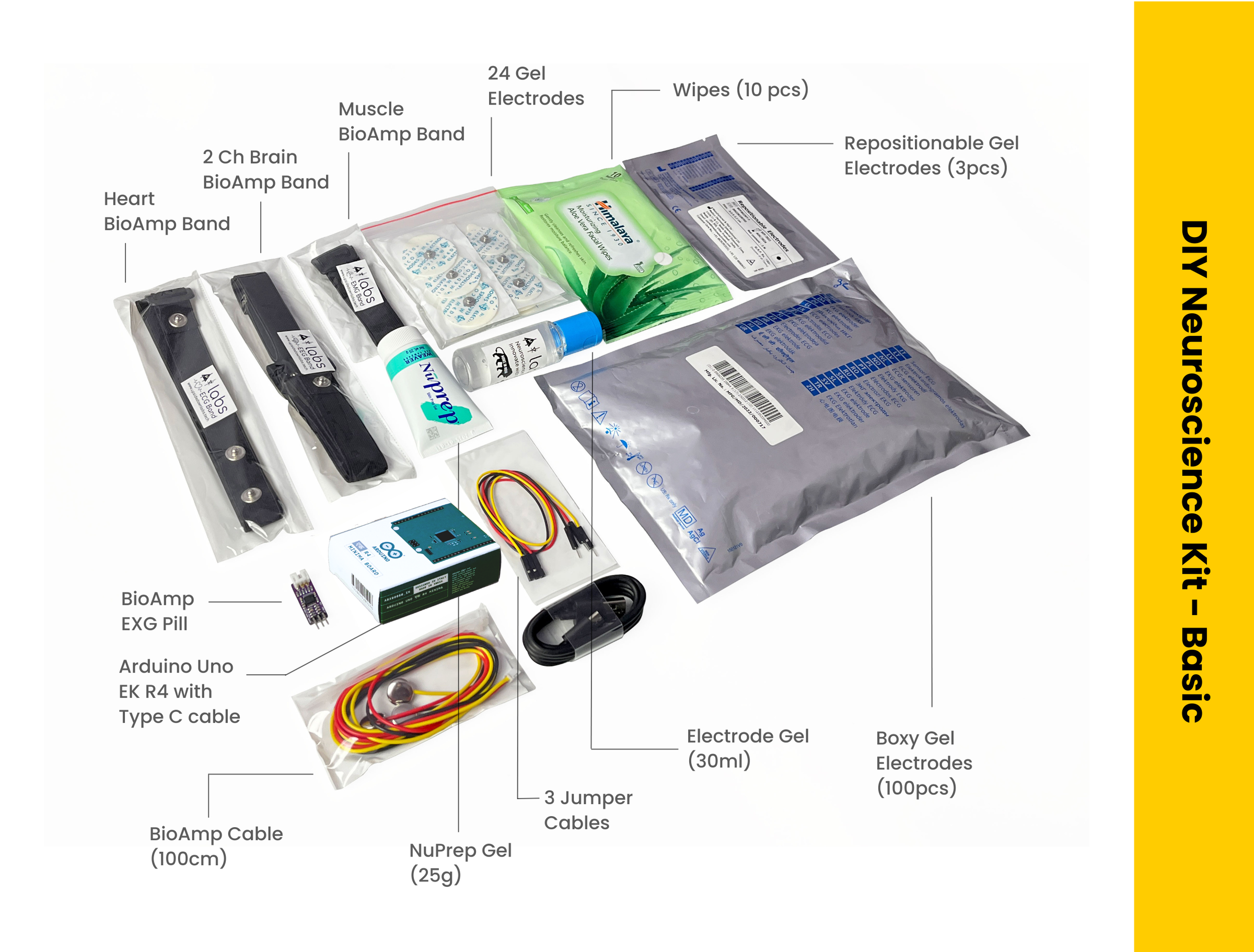 DIY Neuroscience Kit - Basic.png