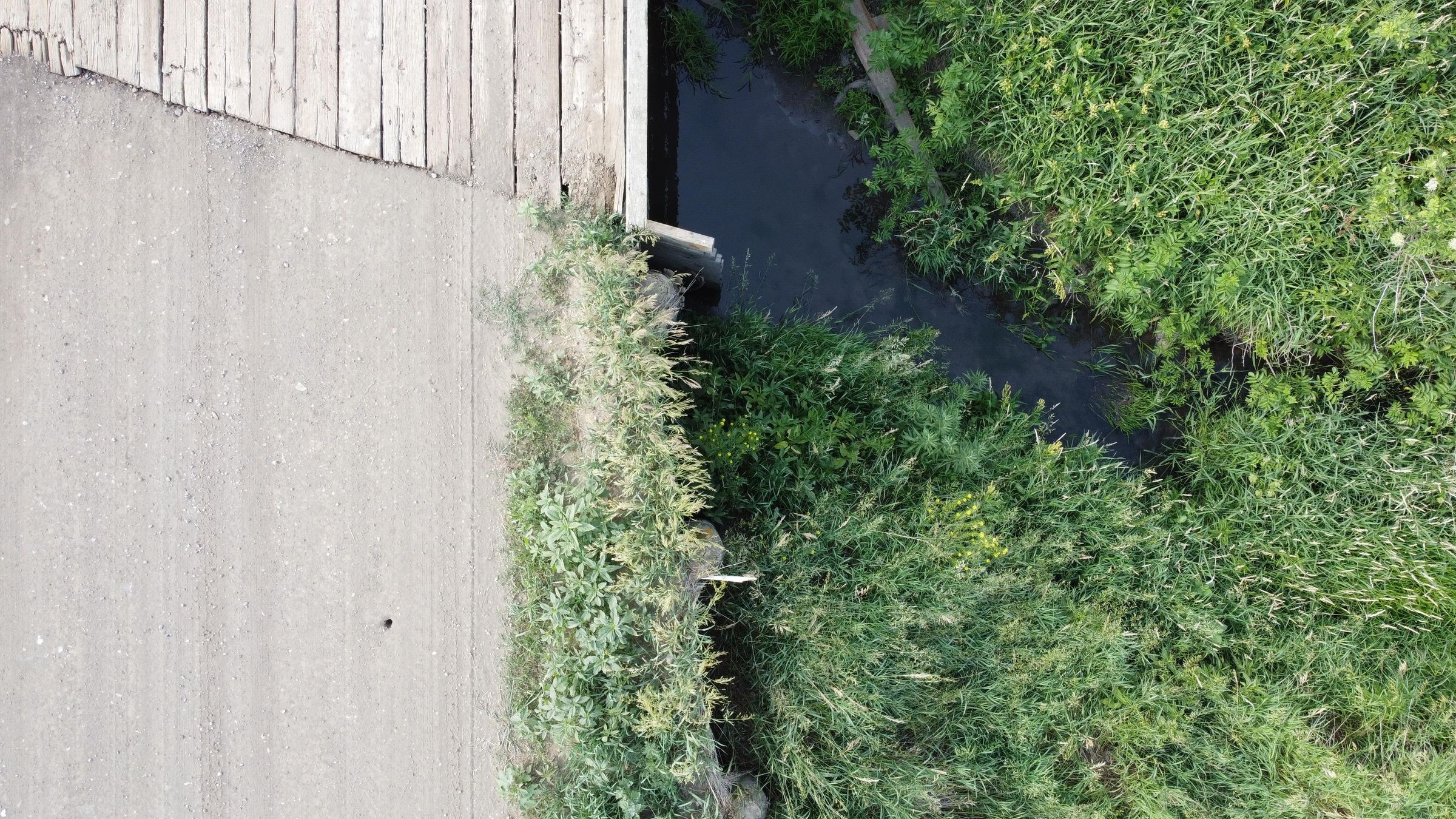 DJI_0372.JPG