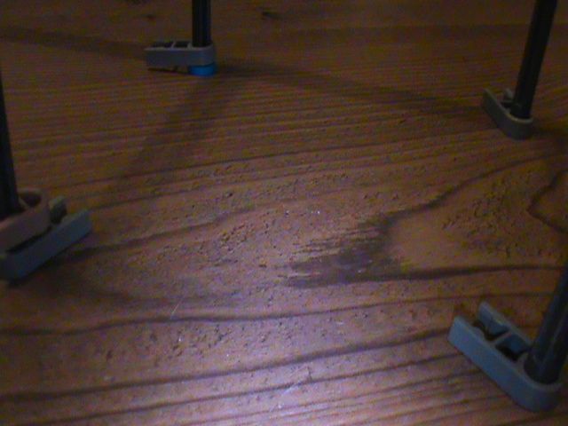 DSC01169.JPG