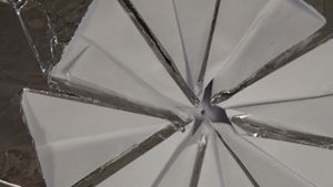 DSC02003.JPG