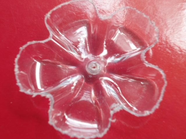 DSC02019.JPG