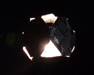 DSC02020.JPG