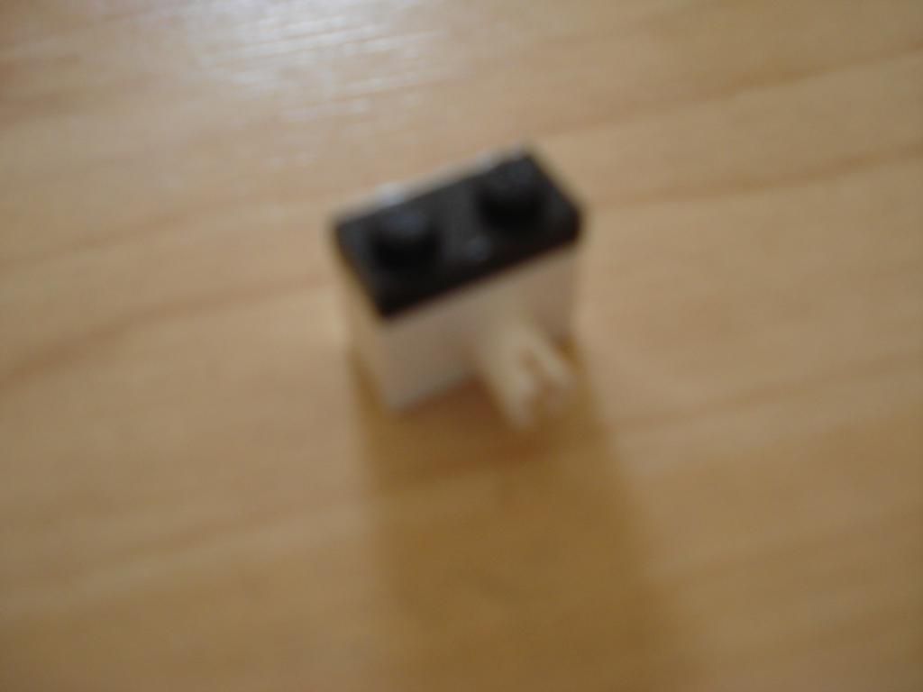 DSC02179.JPG