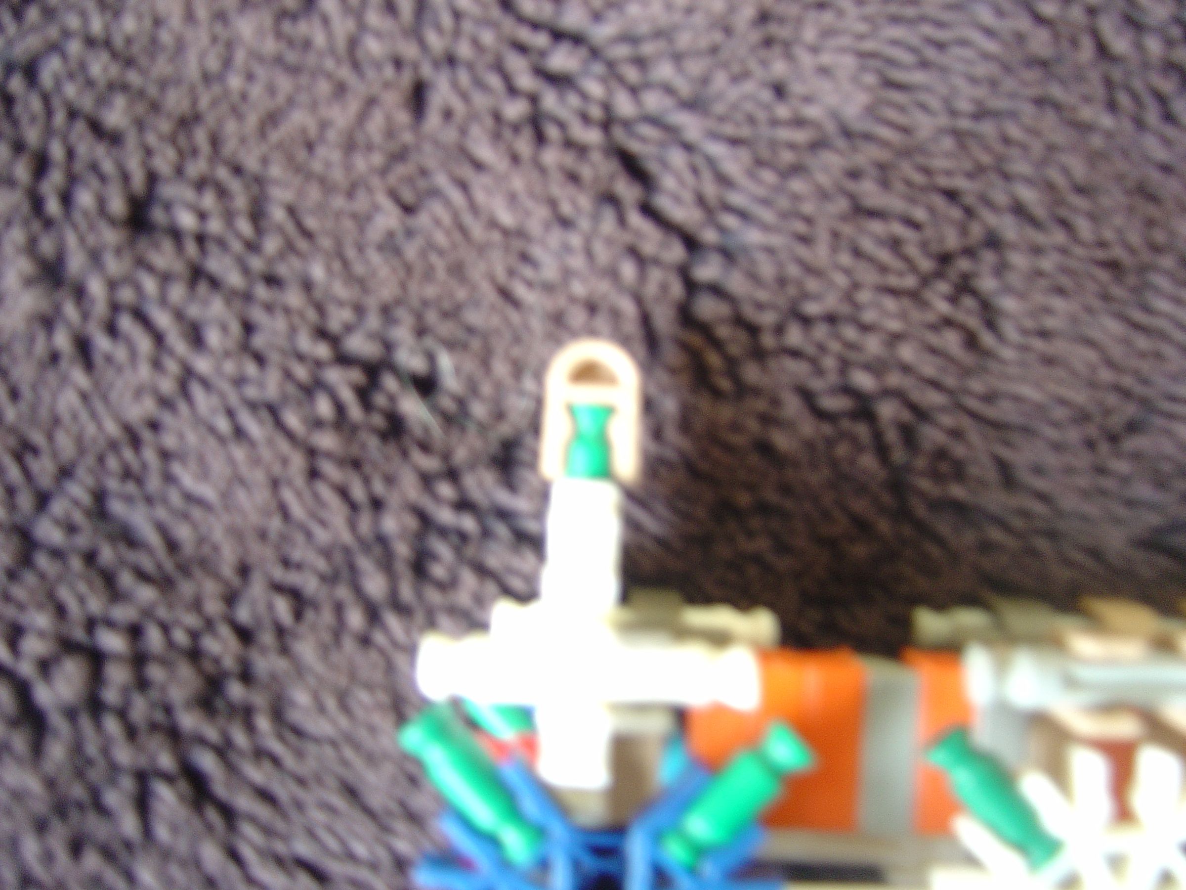 DSC02390.JPG