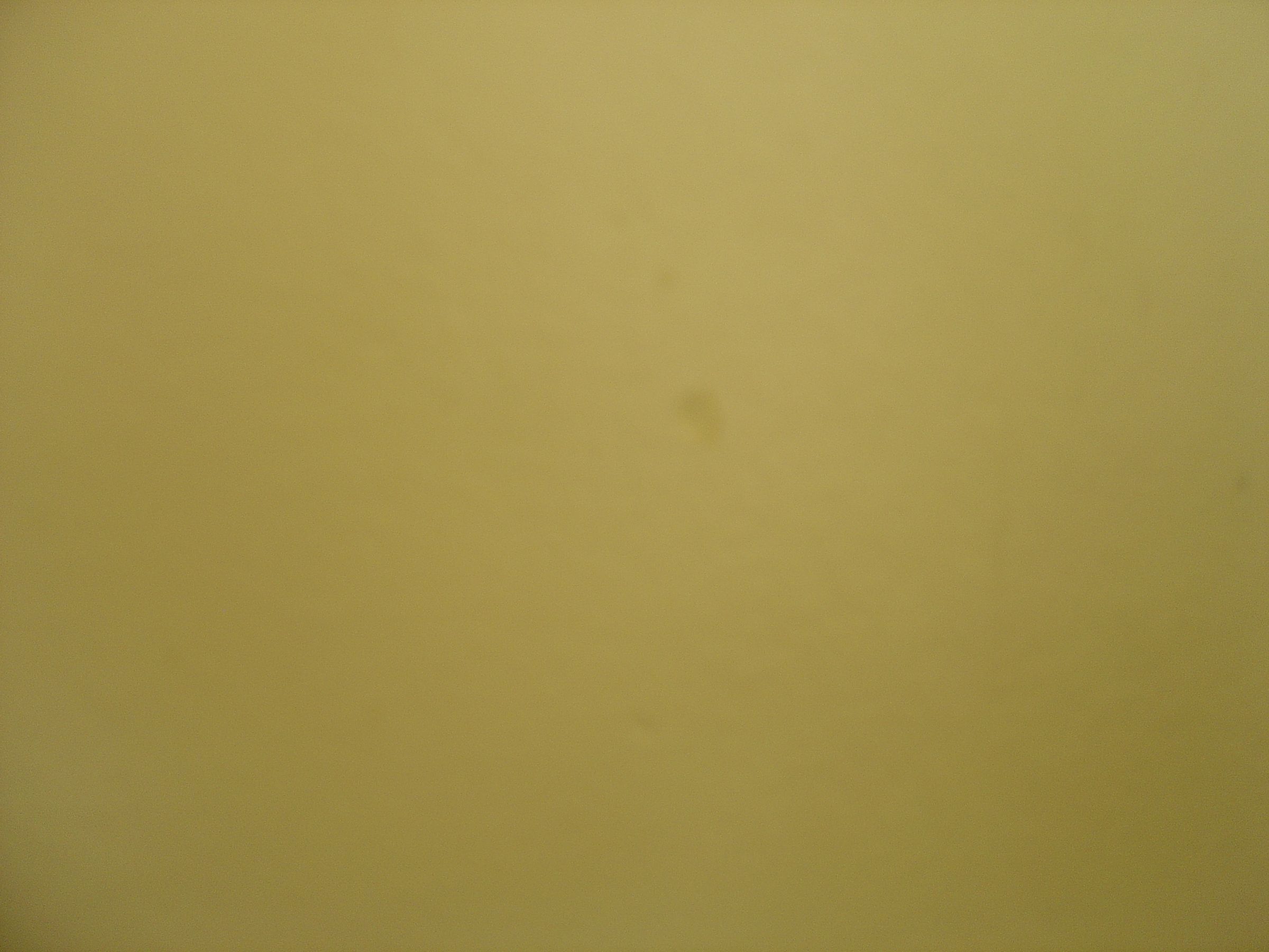 DSC02455.JPG