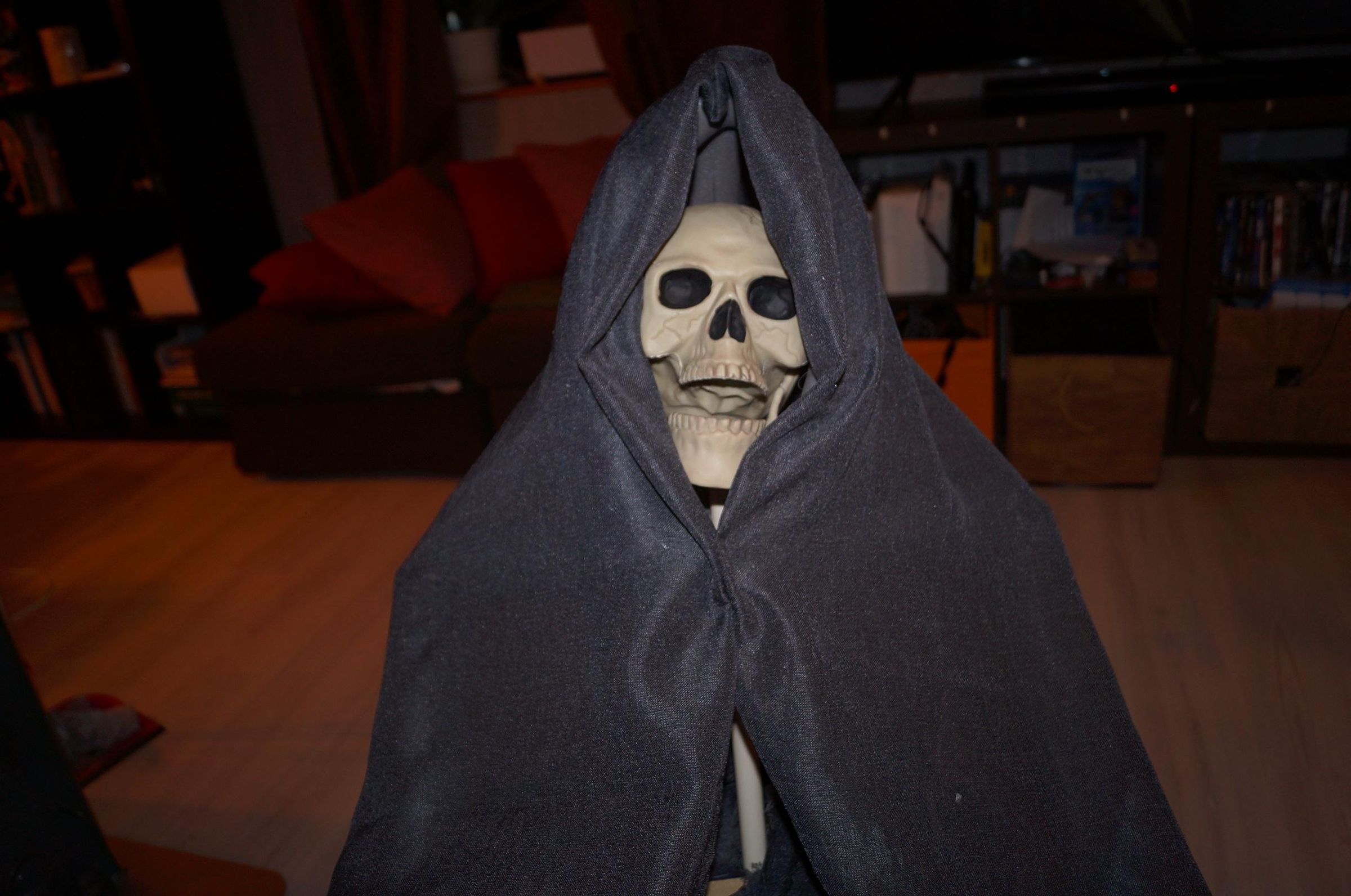 DSC02586.JPG