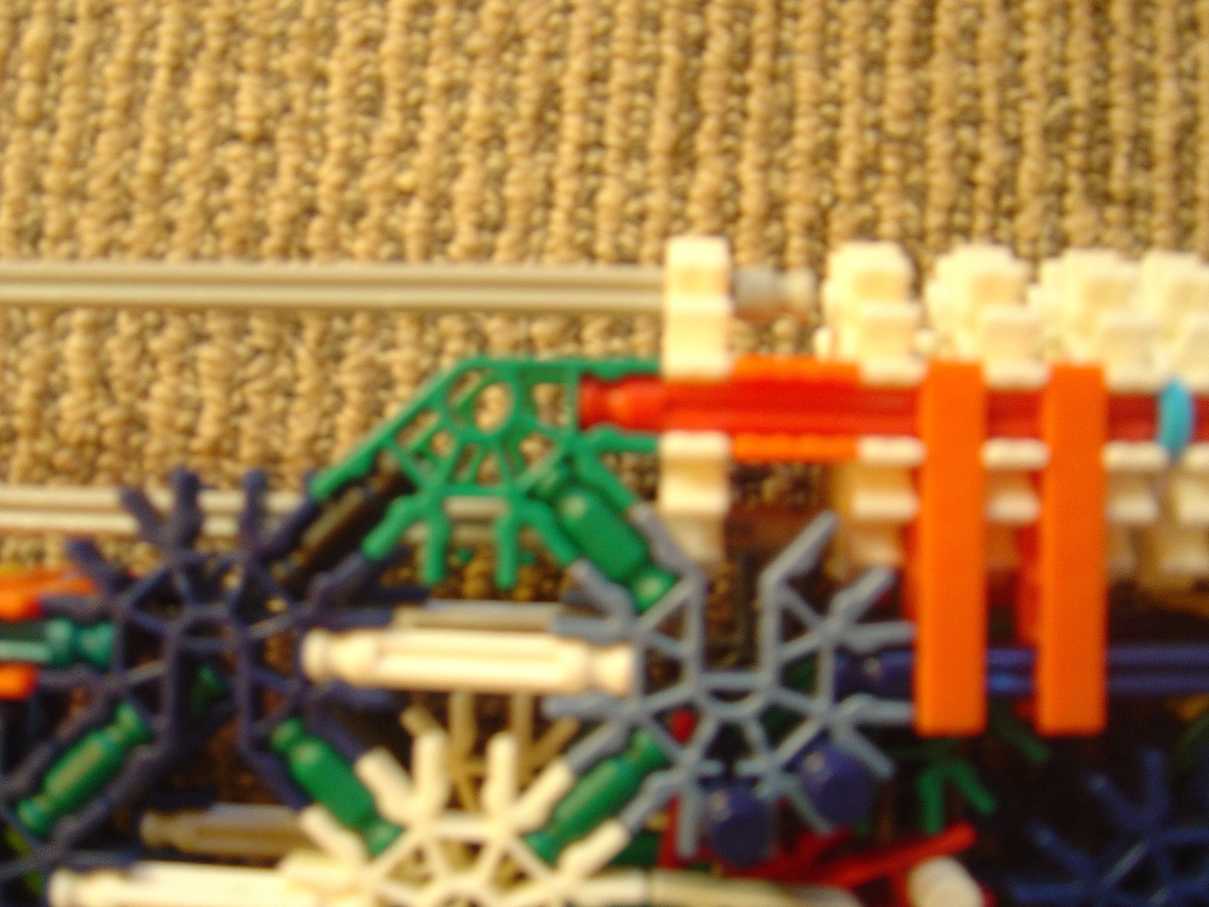 DSC02781.JPG