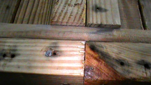 DSC04303.JPG