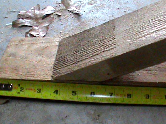 DSC04536.JPG