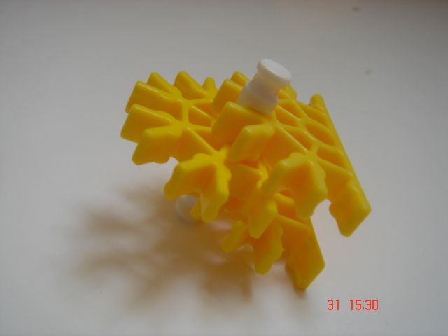 DSC05488.JPG