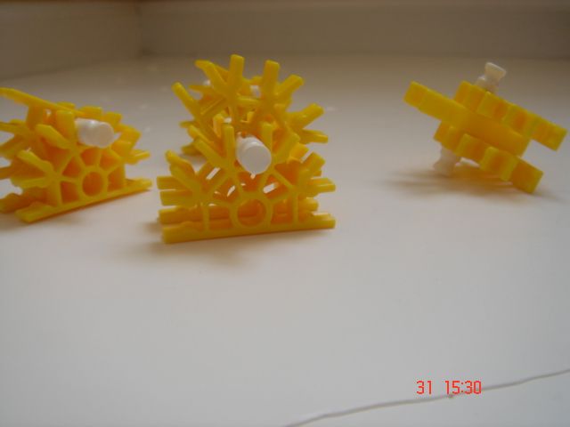 DSC05490.JPG