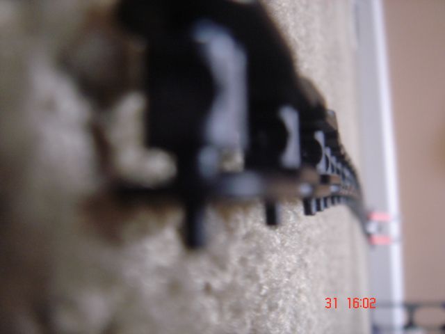 DSC05568.JPG