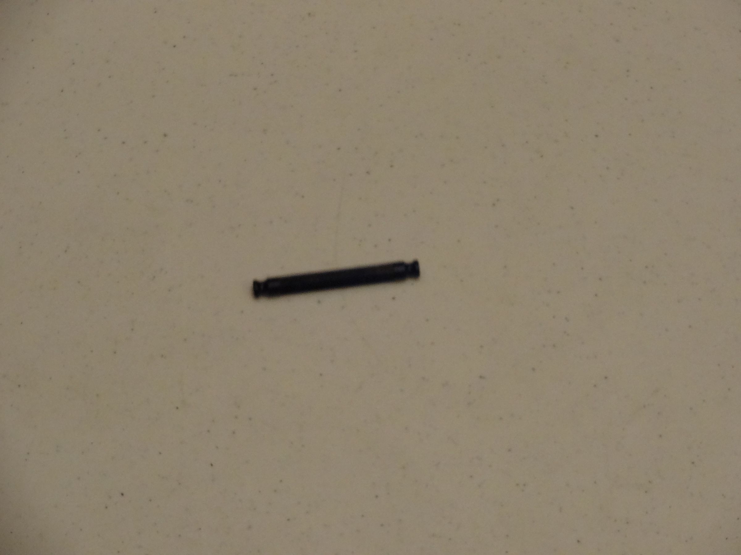 DSC08580.JPG