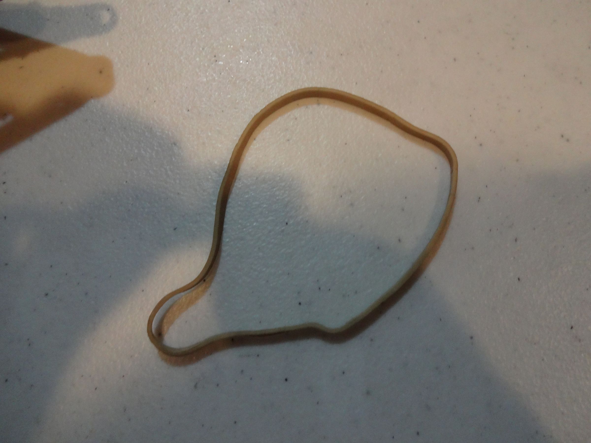 DSC09214.JPG
