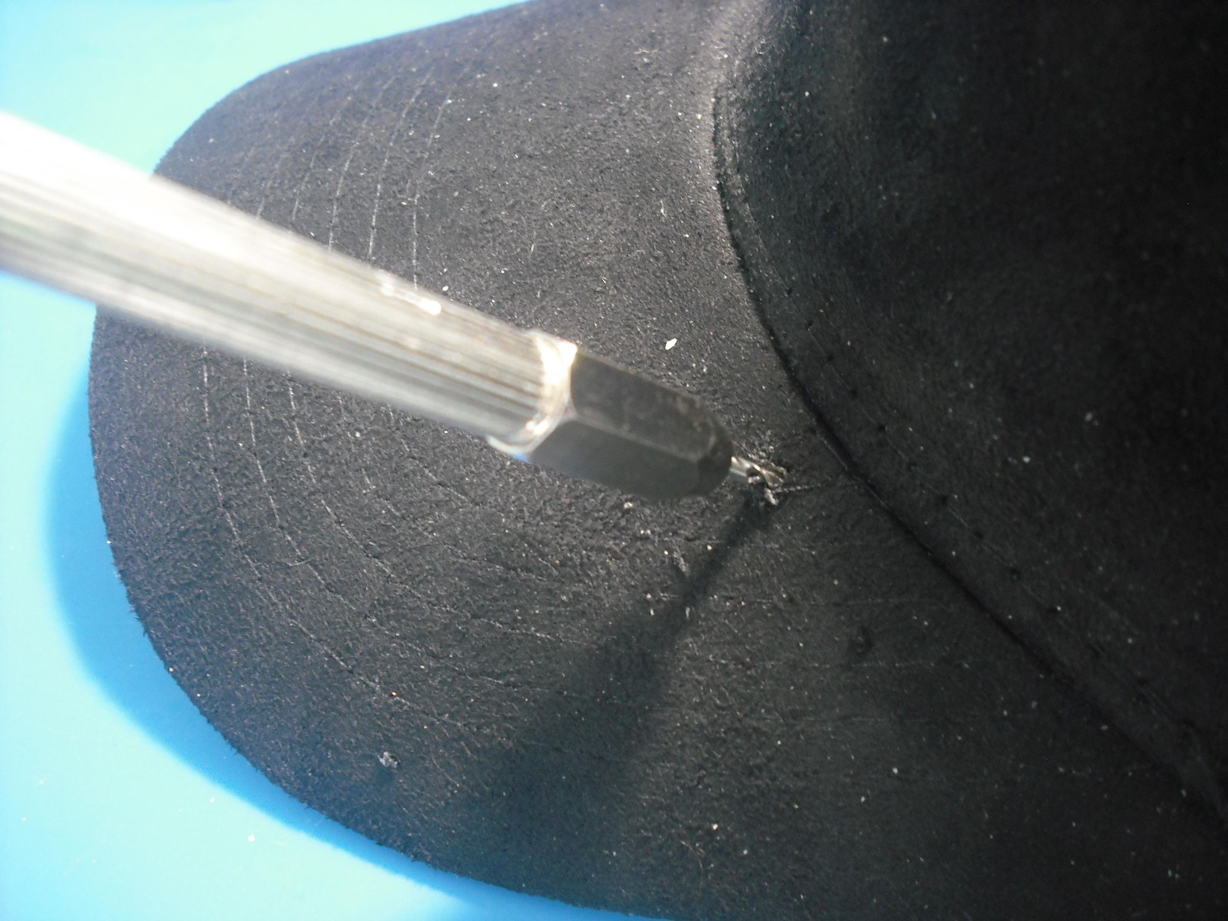 DSCF0236.JPG