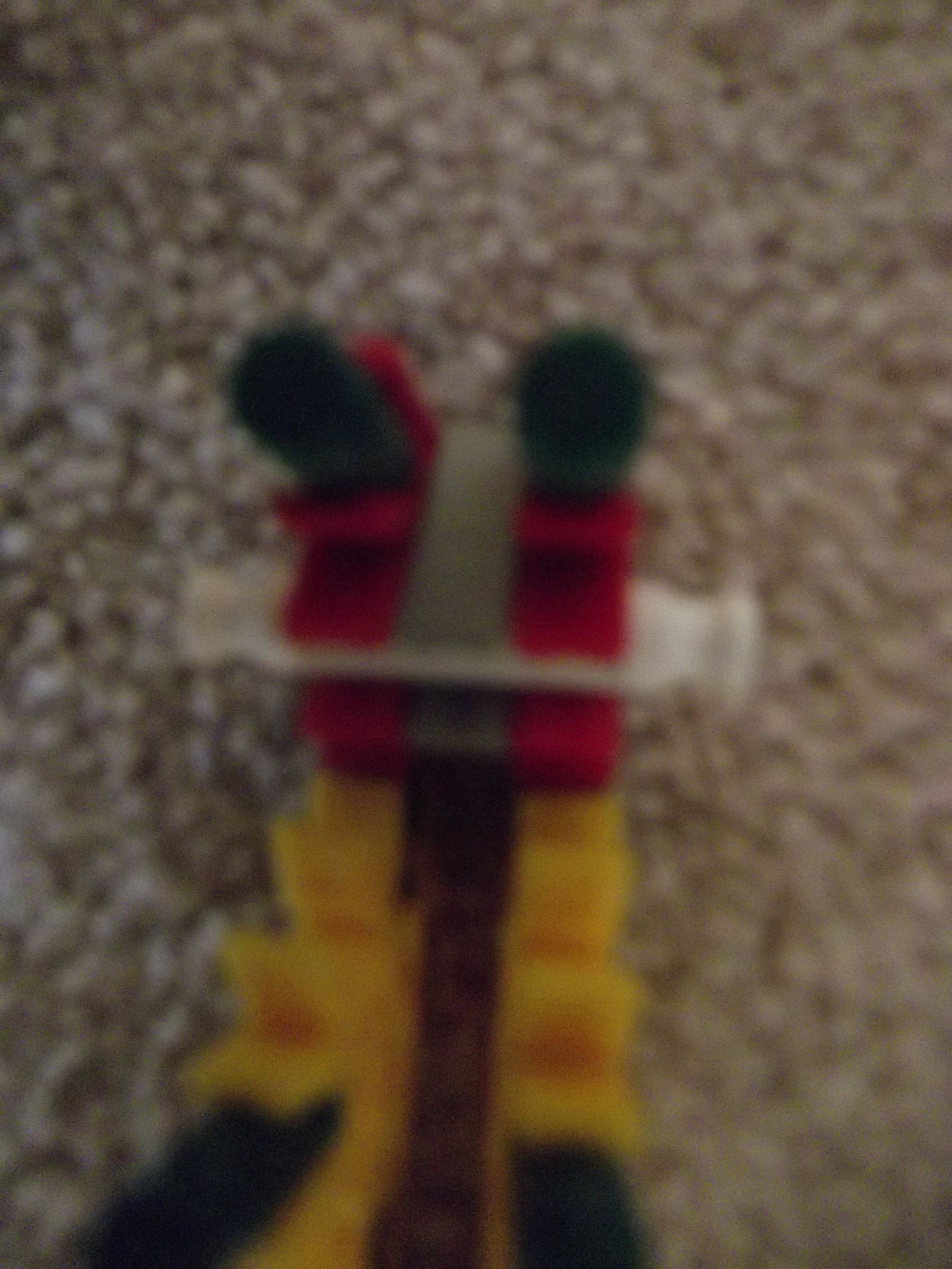 DSCF0290.JPG