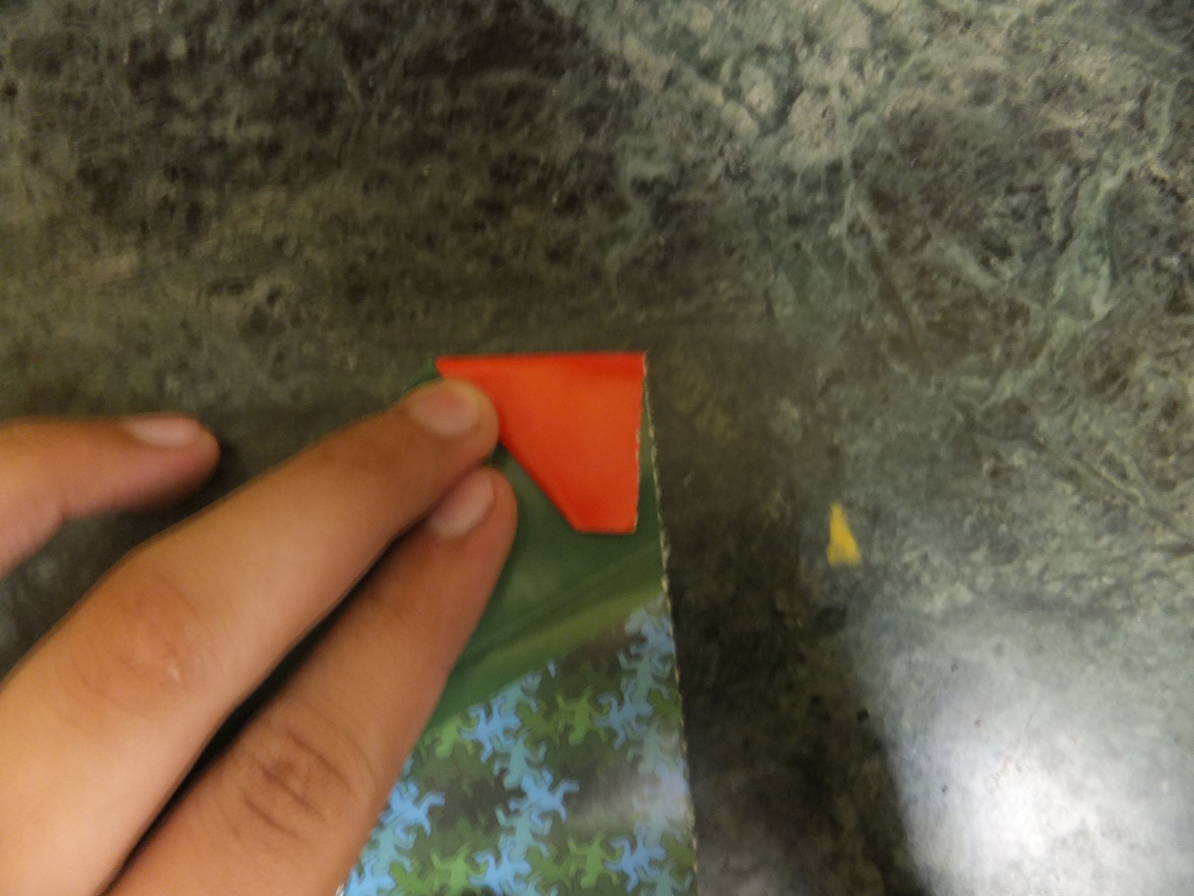 DSCF0330.JPG