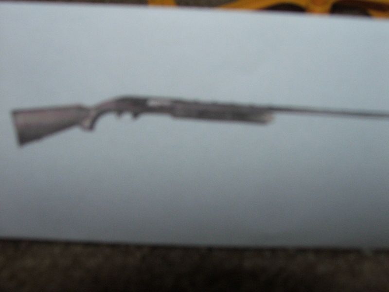 DSCF0489.JPG