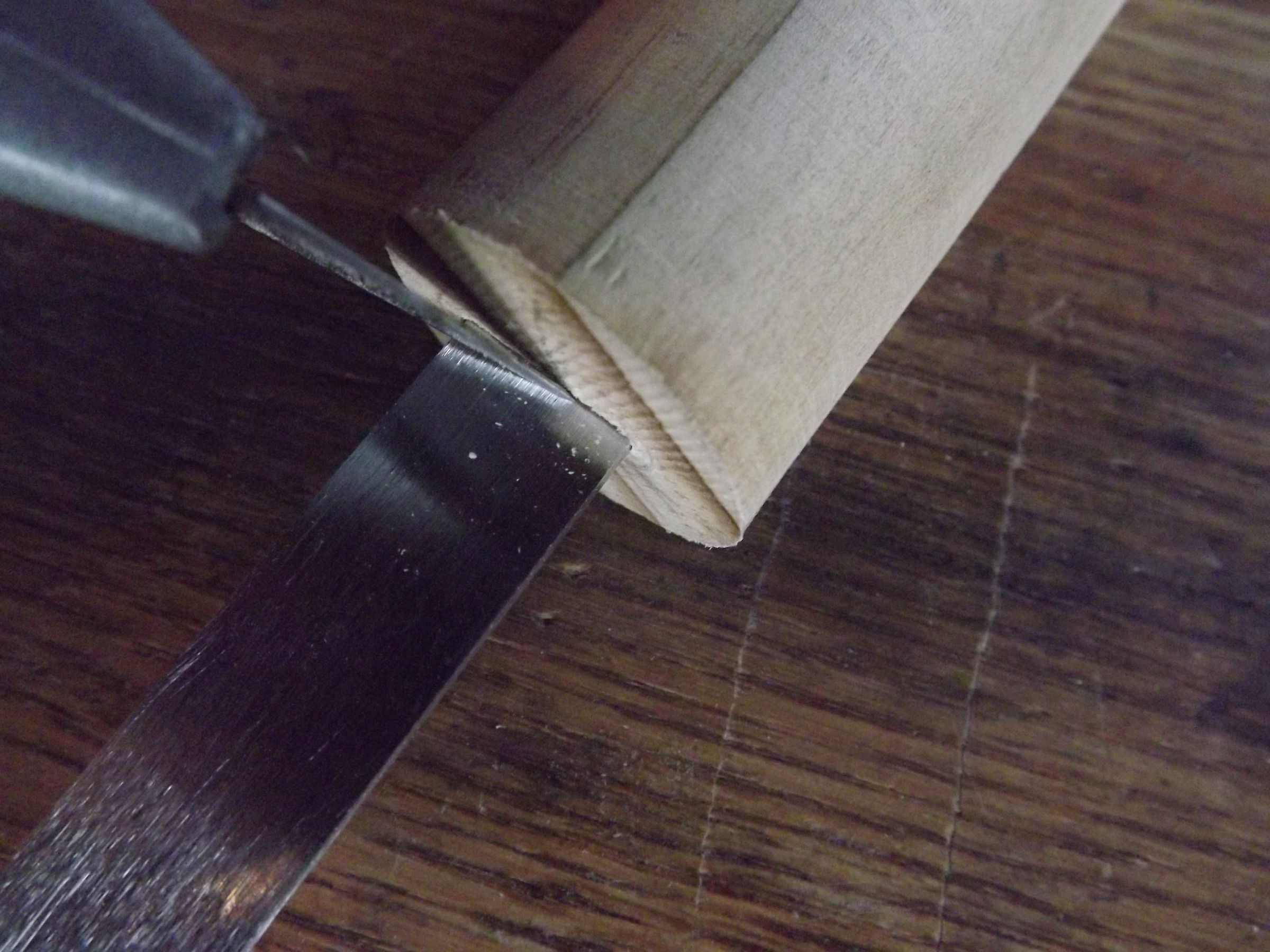 DSCF4793.JPG