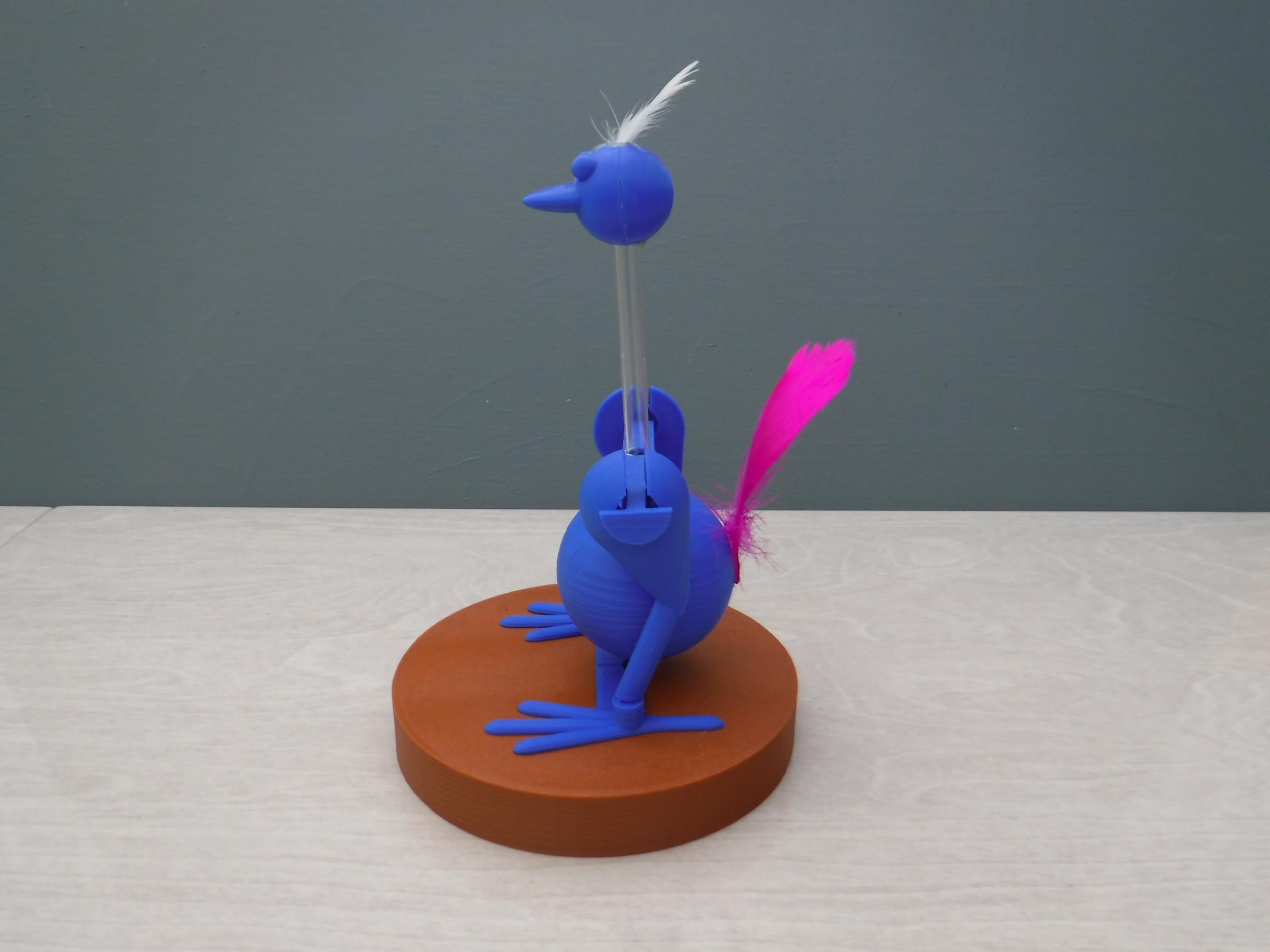 DSCF5761.JPG