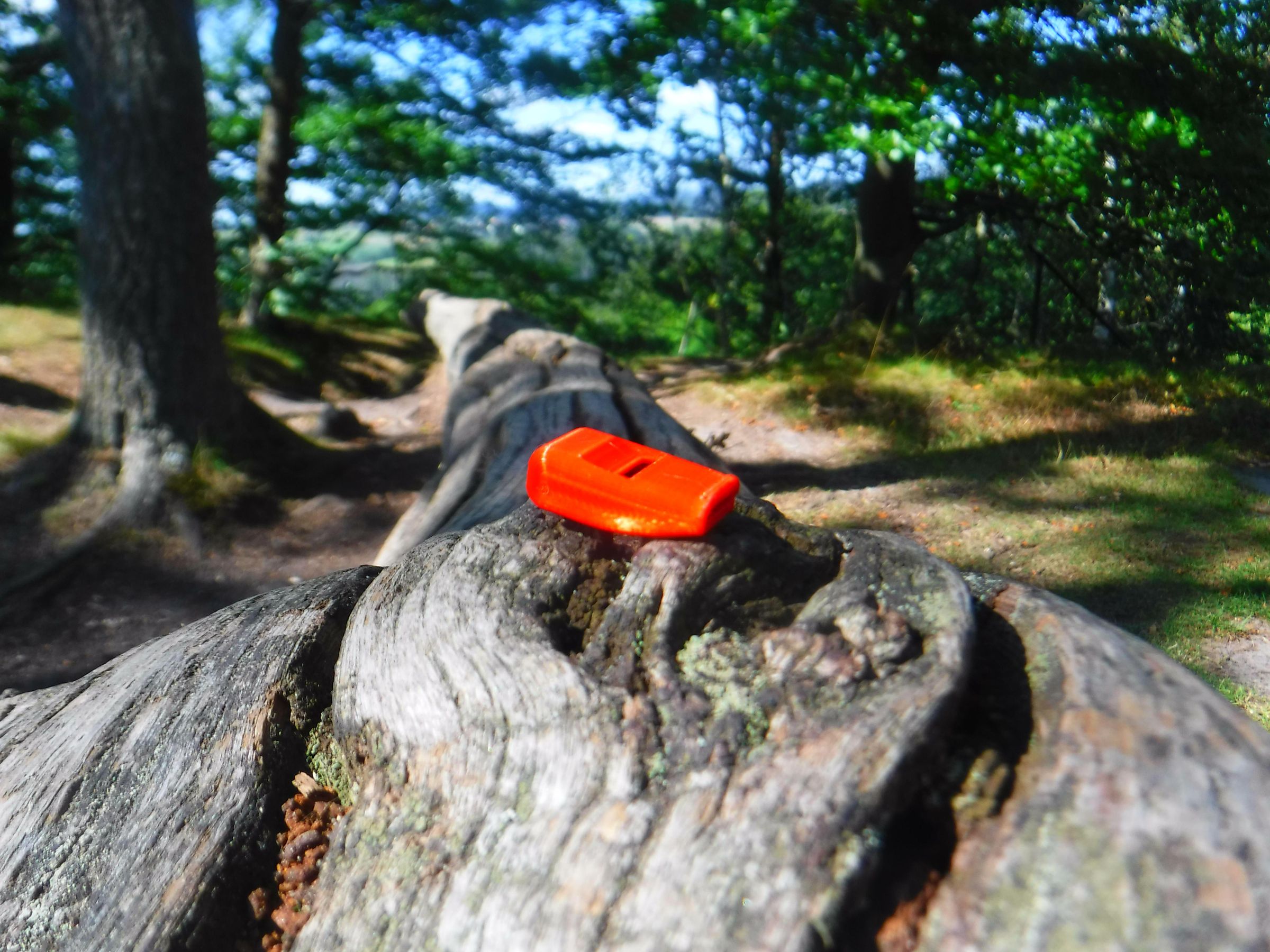 DSCF7670.JPG