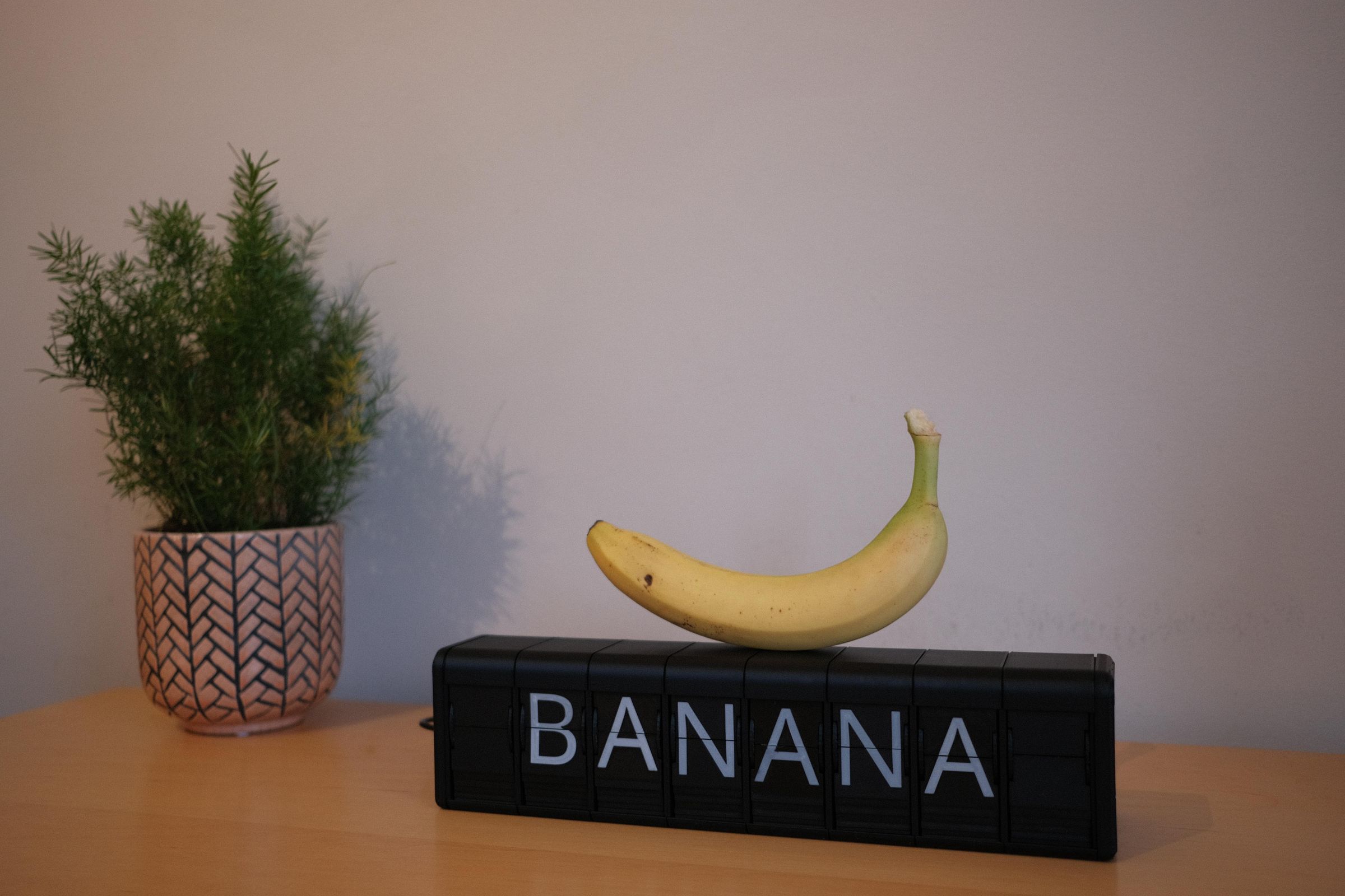 DSCF8583.JPG