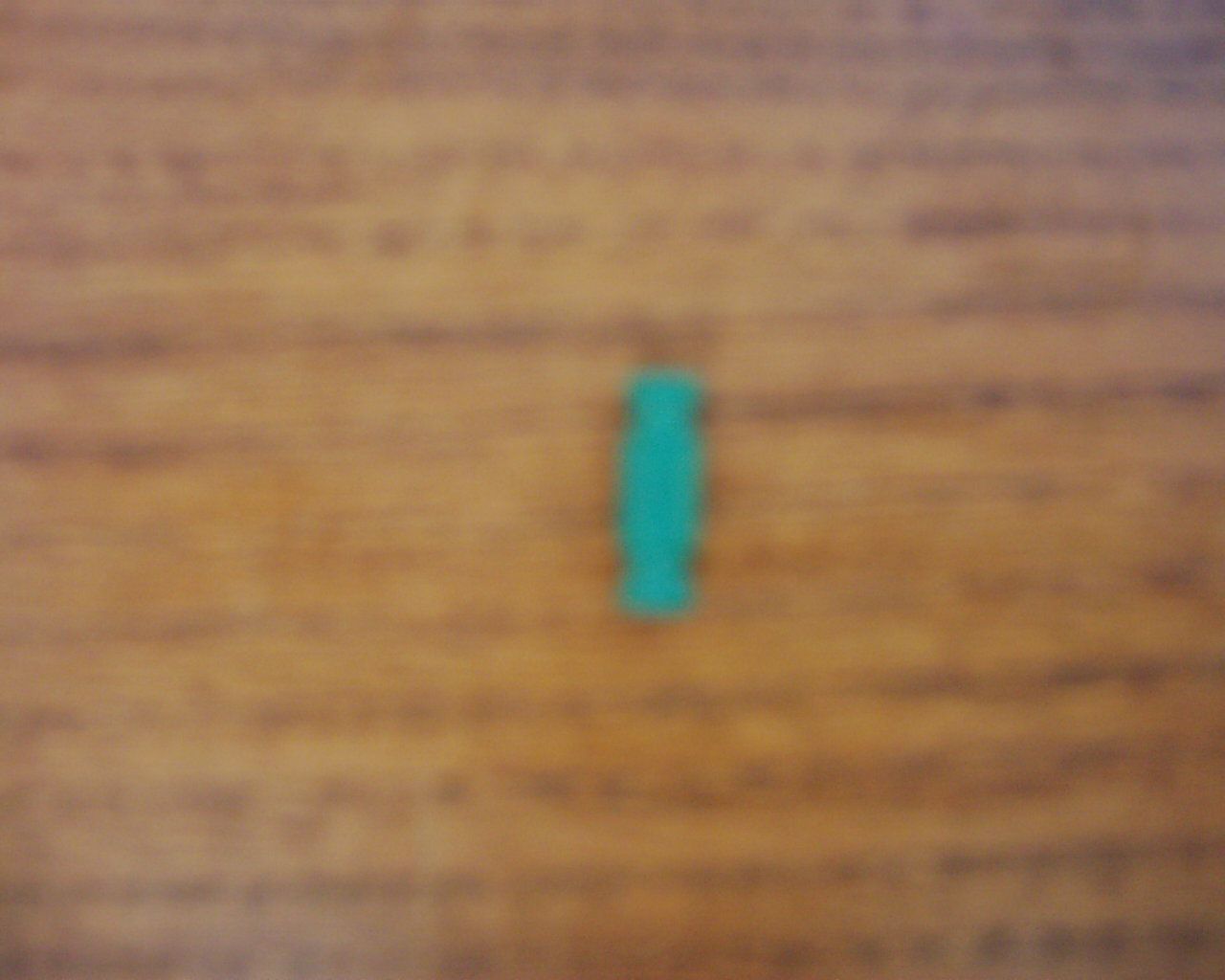 DSCI0009.JPG