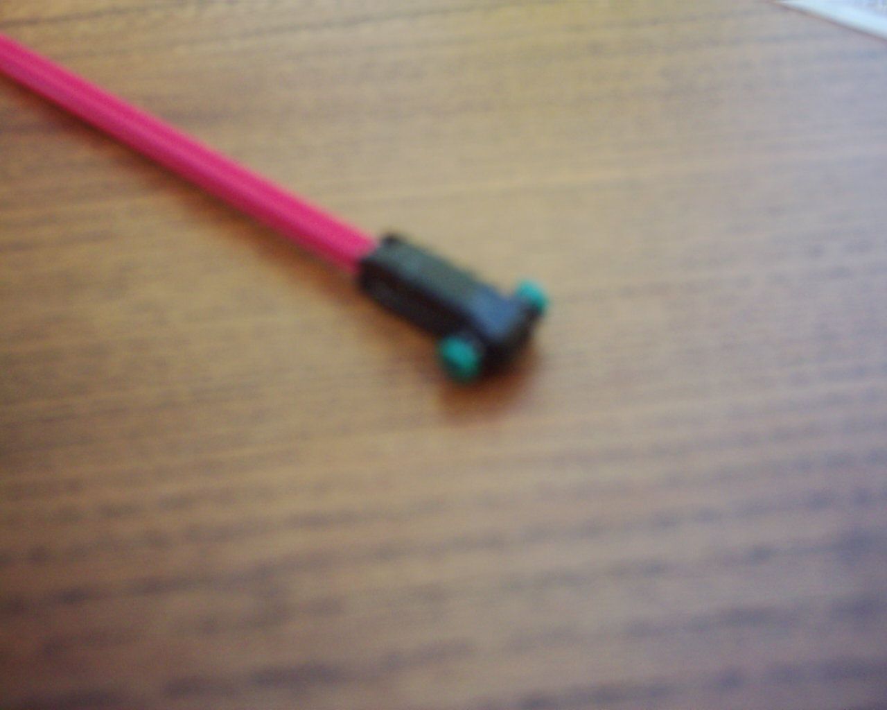DSCI0020.JPG