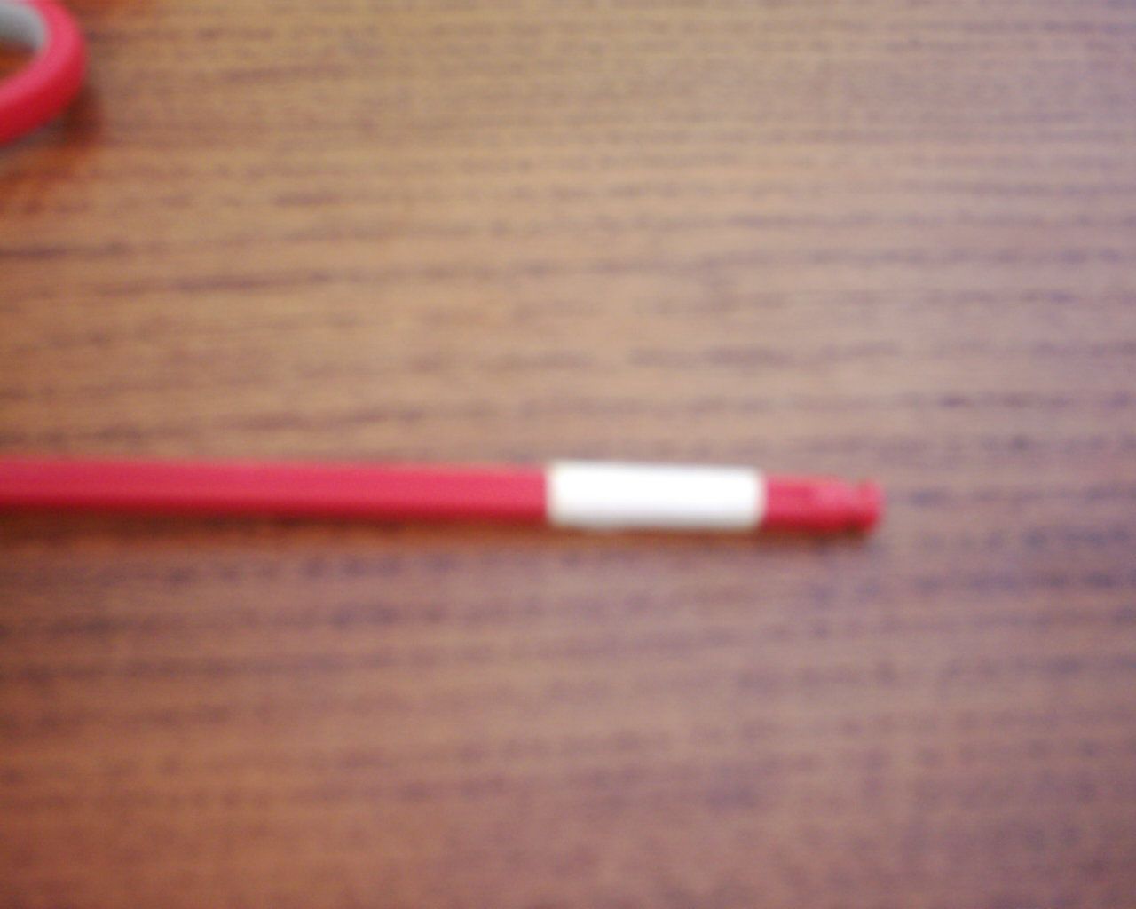 DSCI0022.JPG
