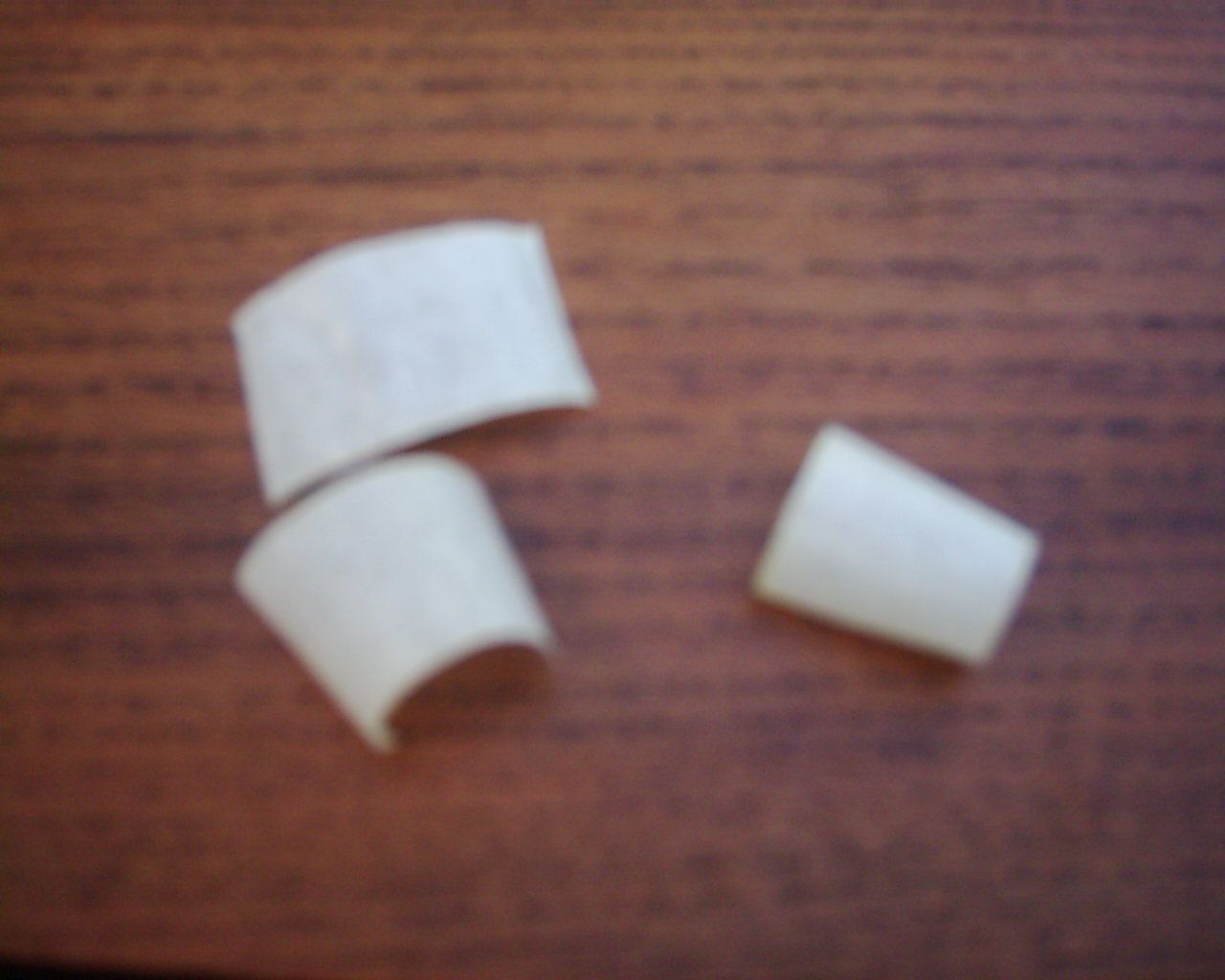 DSCI0023.JPG
