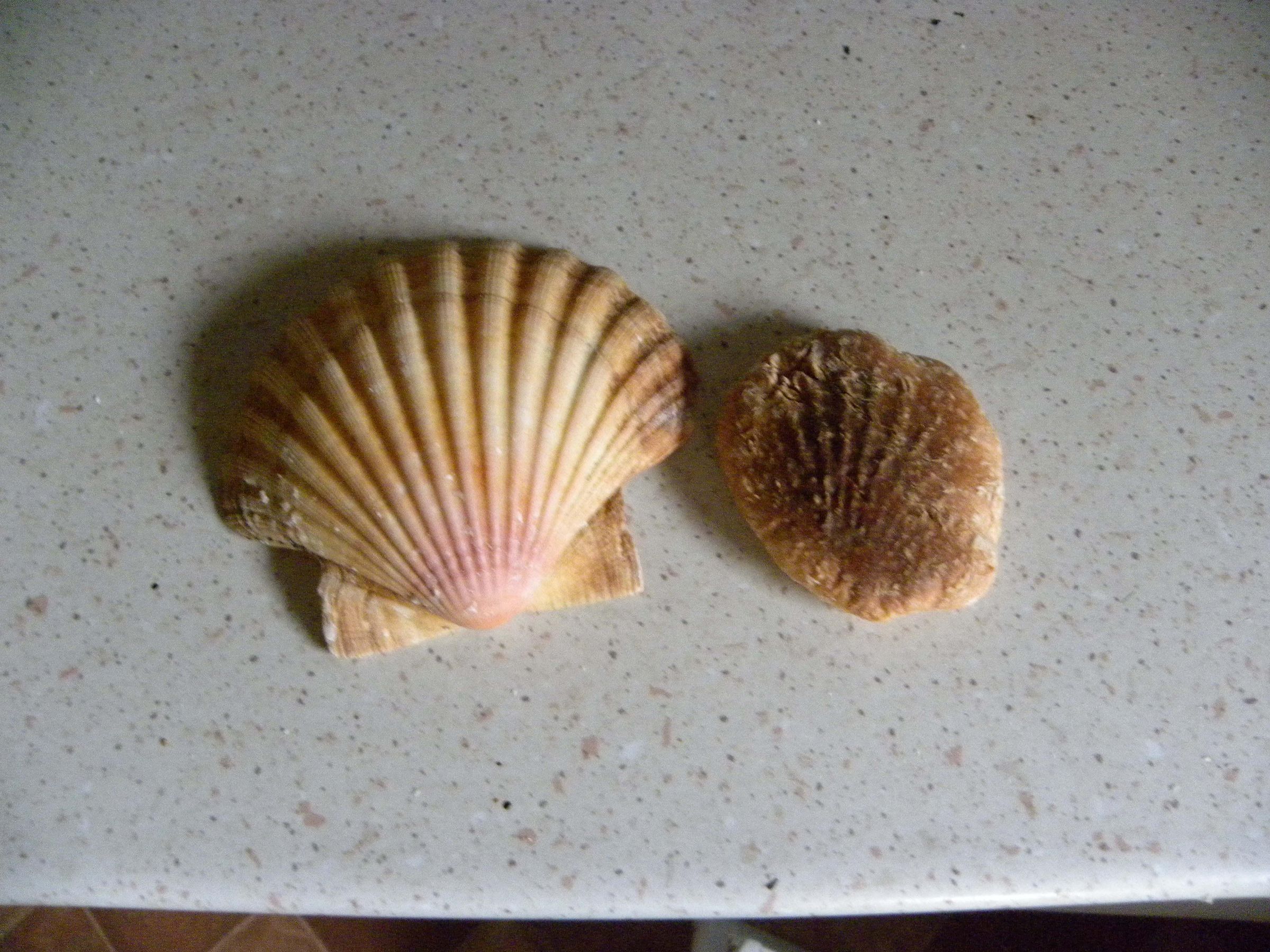 DSCN0073.JPG