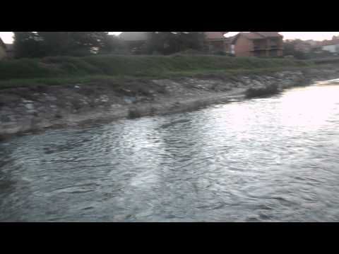 DSCN0147