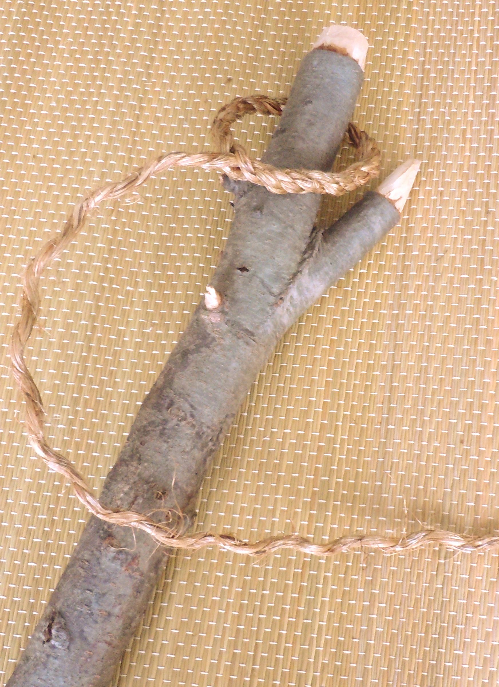 DSCN0373.jpg