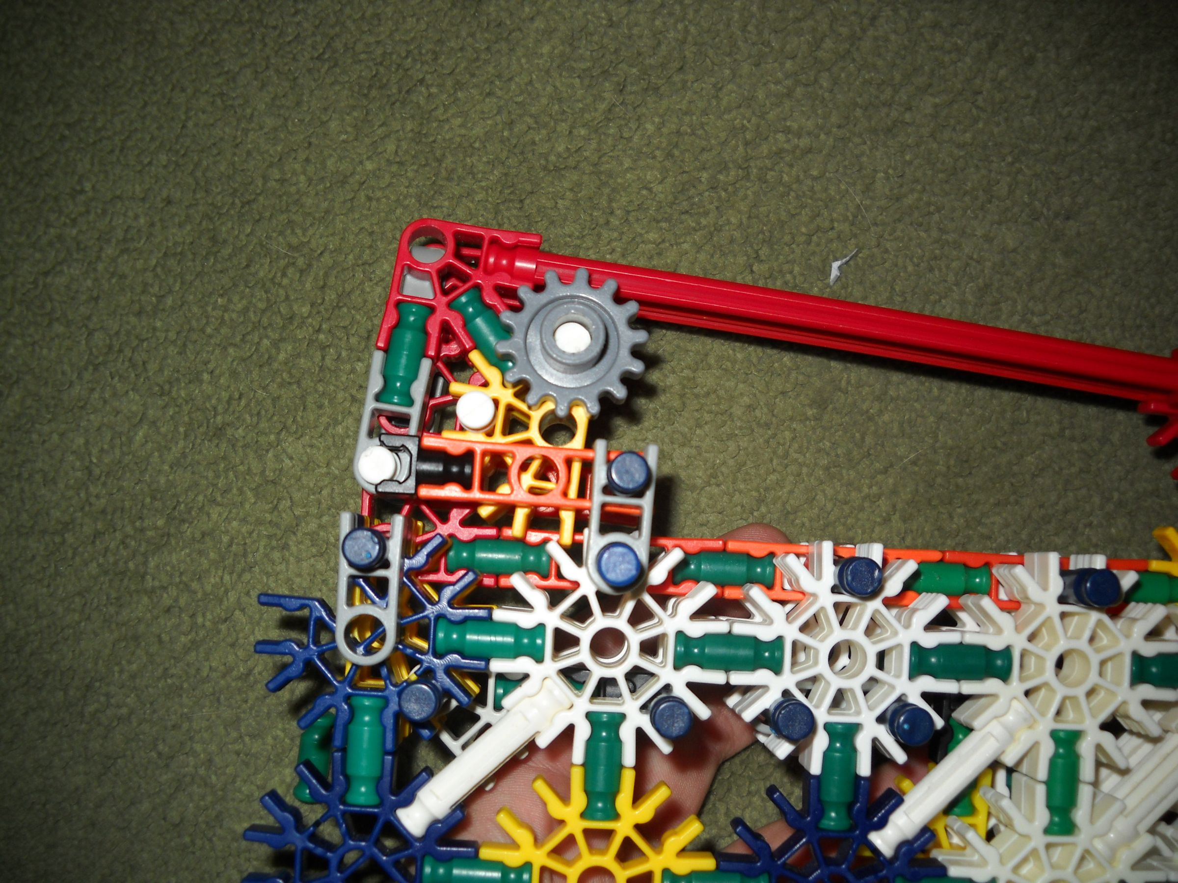 DSCN0557.JPG