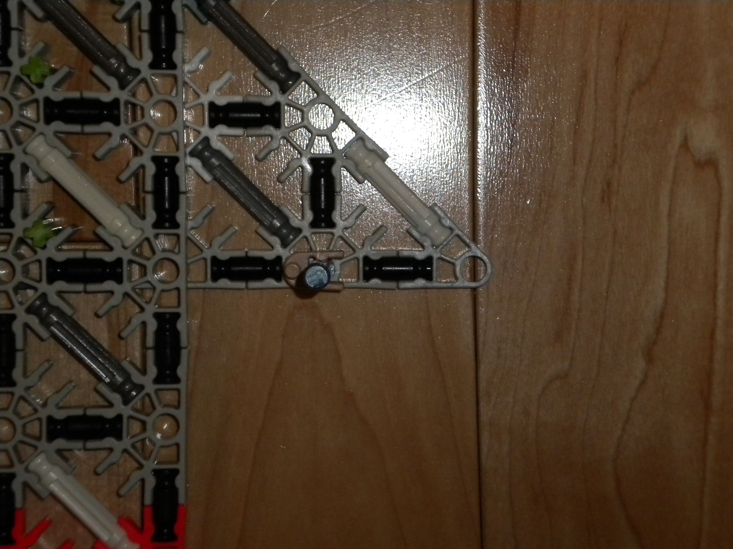 DSCN0764.JPG